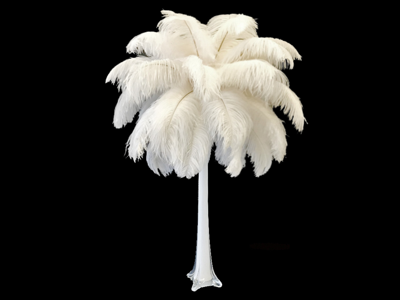 White Ostrich Feathers for centerpieces 12-15 (50 pcs.)