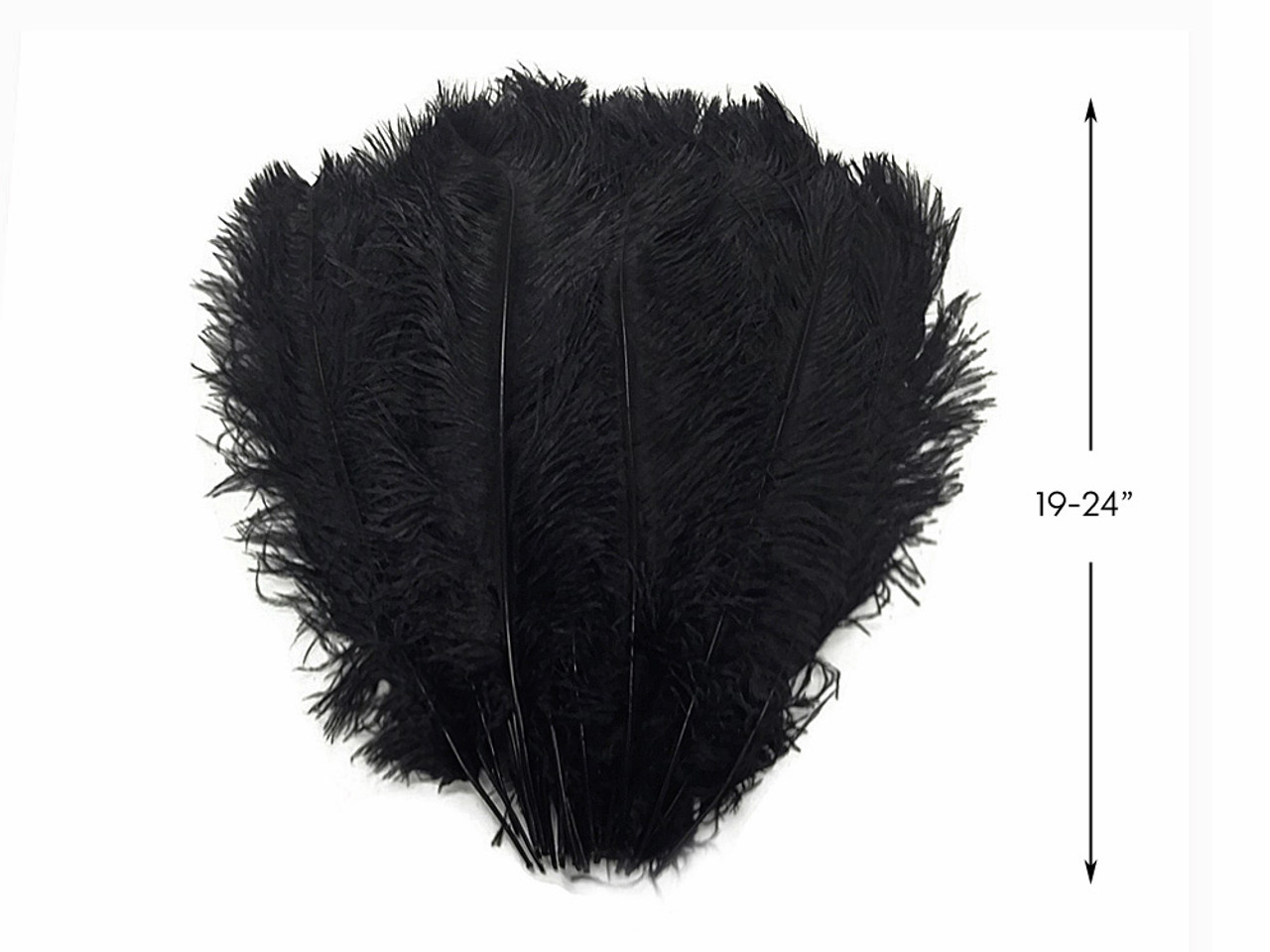  CROWN GUIDE Black Ostrich Feathers Bulk - 10 Pieces