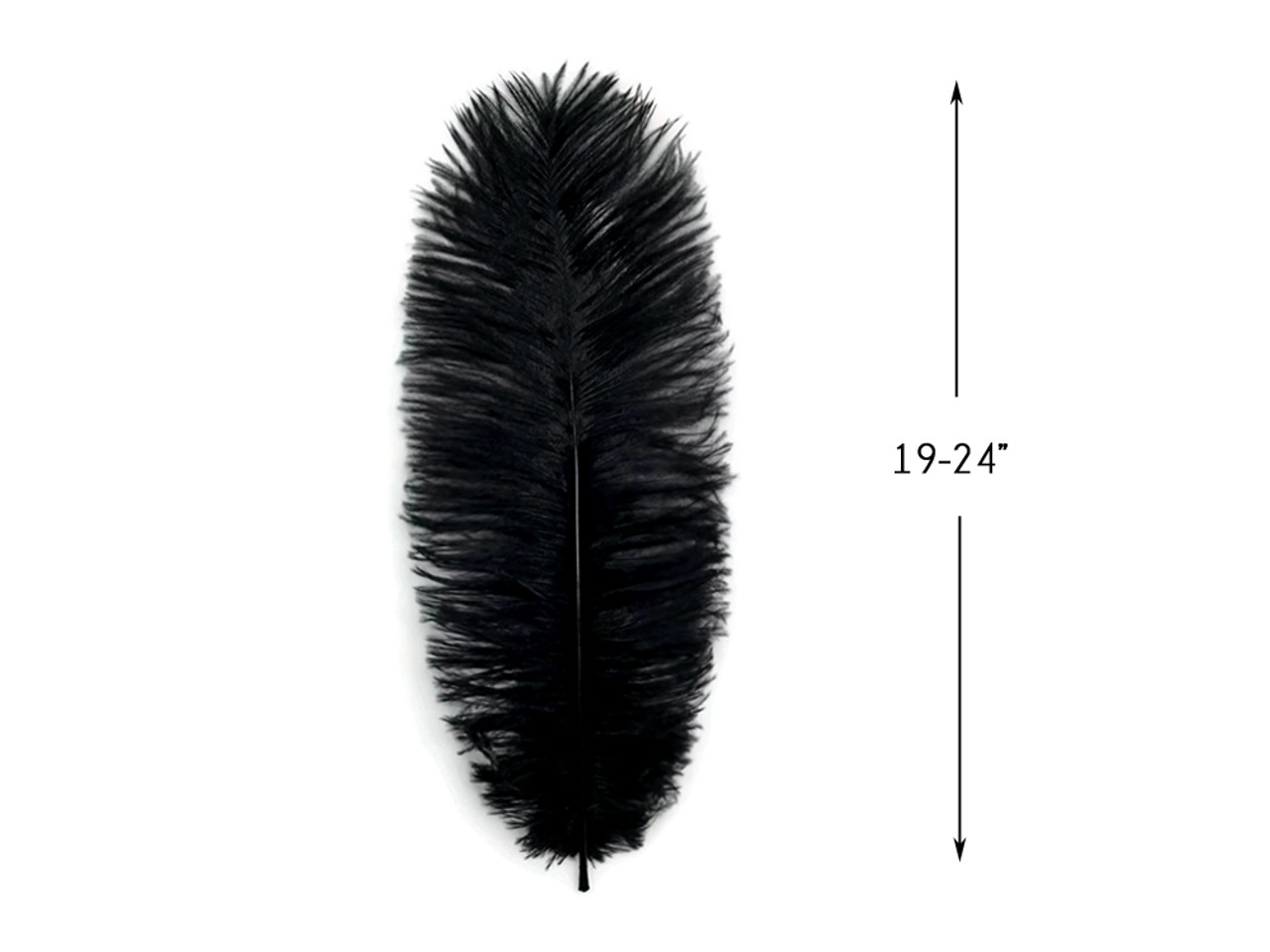 1/2 lb 19-24 Black Ostrich Feathers
