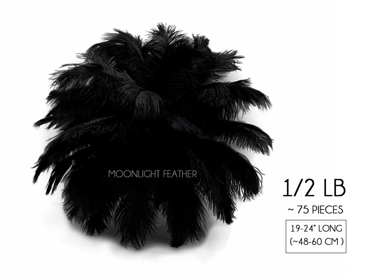 Large Ostrich Feathers - 17+ Drabs - Black