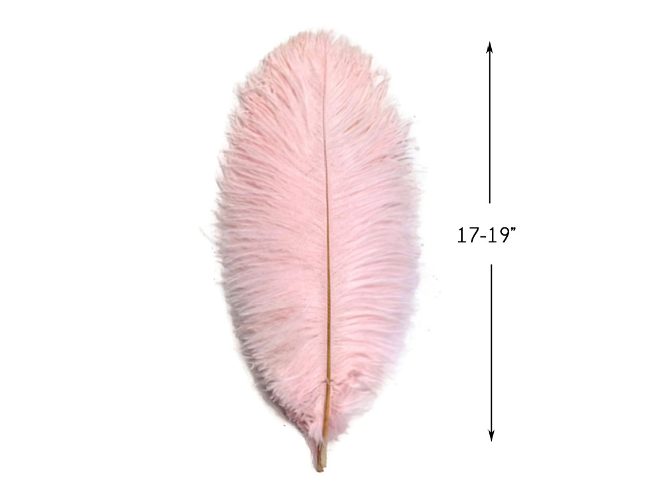 10 Pieces - 14-17 Baby Pink Ostrich Dyed Drab Body Feathers