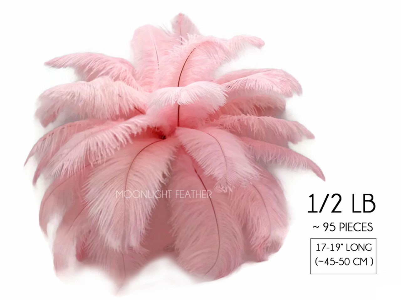 1/2 Lb - 17-19 Baby Pink Ostrich Large Drab Wholesale Feathers (Bulk)