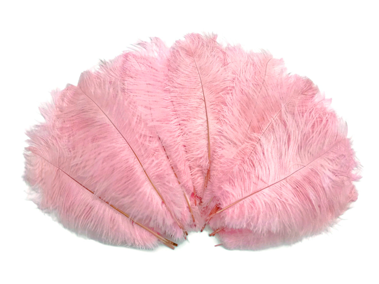 BULK 1/2lb Ostrich Feather Tail Plumes 15-20 (Baby Pink) for Sale
