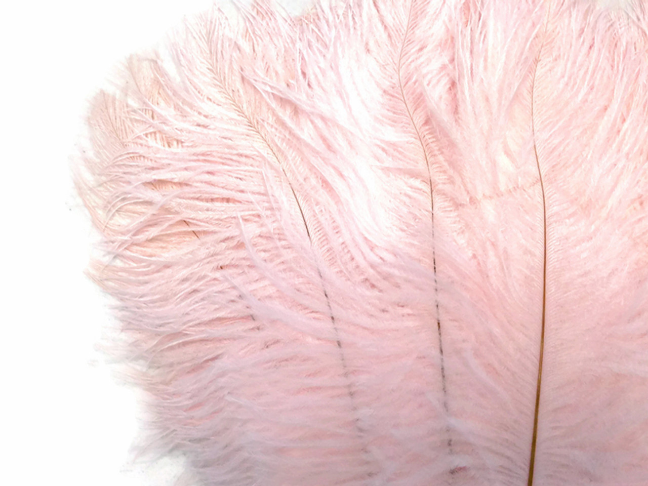 Blush Pink Ostrich Feathers 12-14 inches 100 Pieces Dozen Blush
