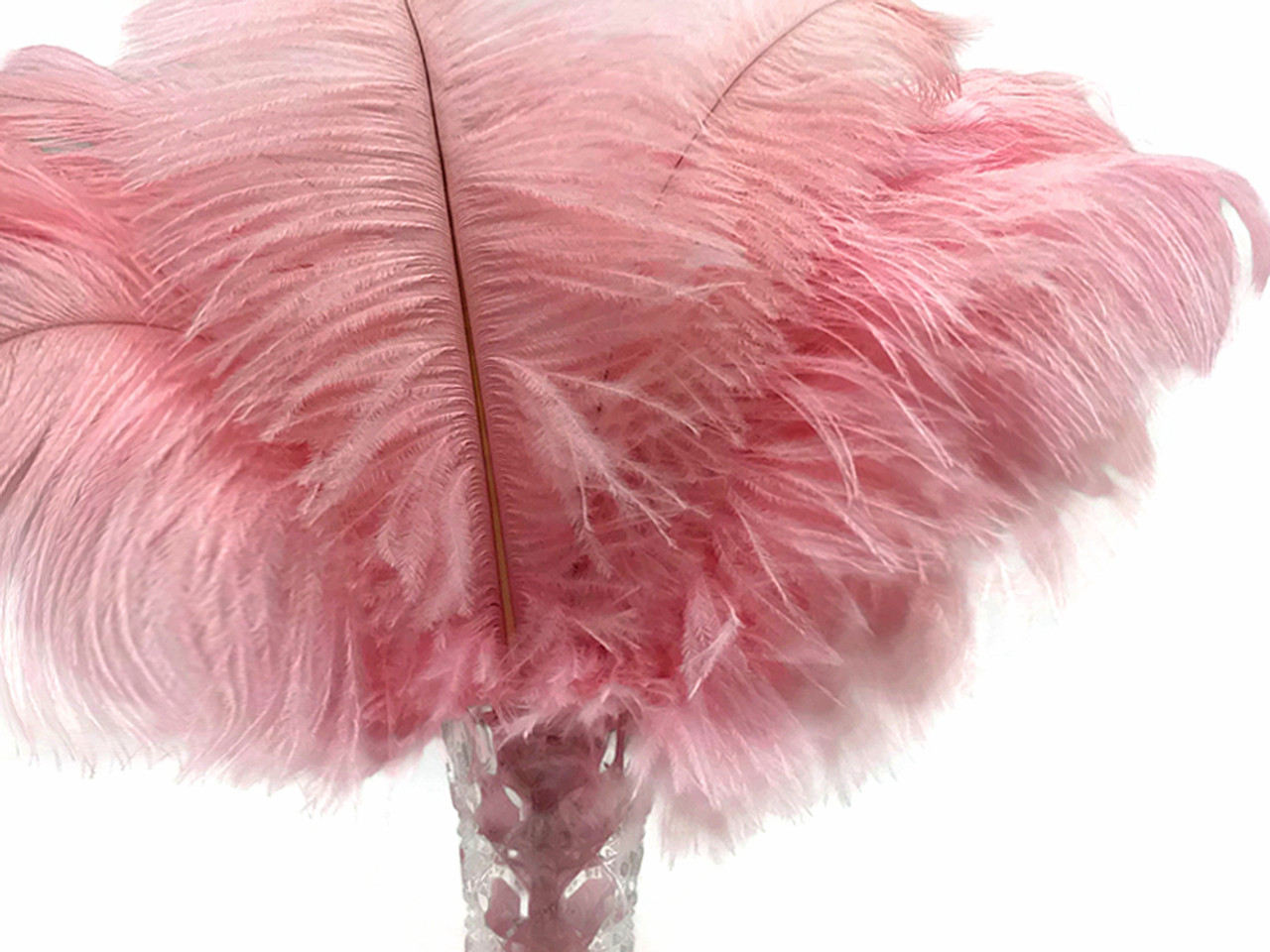 18-20 inches Blush Pink Ostrich Feather Large Male Ostrich Plume