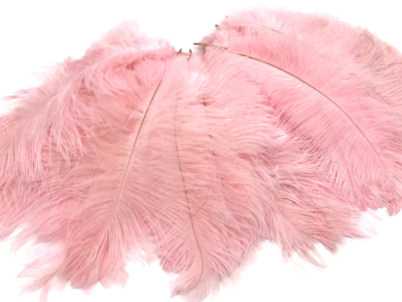10 Pieces 14-17 Baby Pink Ostrich Feathers