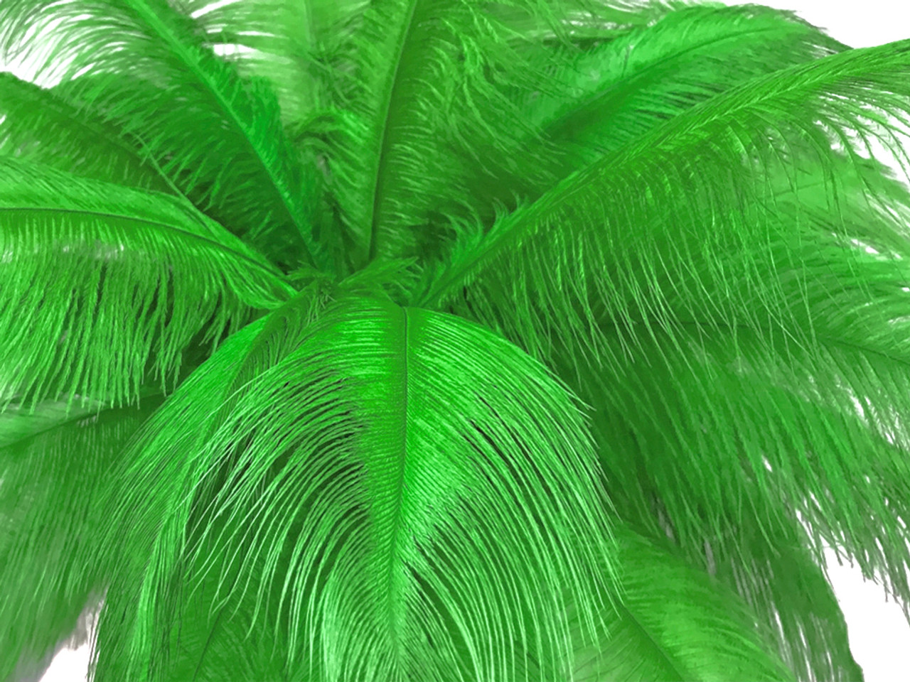 Lime Green Ostrich Feathers drabs Wholesale 100 Pieces 8-10 inch