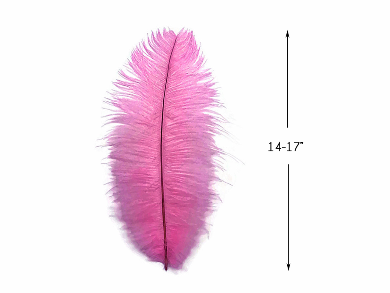 1/2 Lb. - 18-24 Off White Large Ostrich Wing Plume Wholesale Feathers  (Bulk)