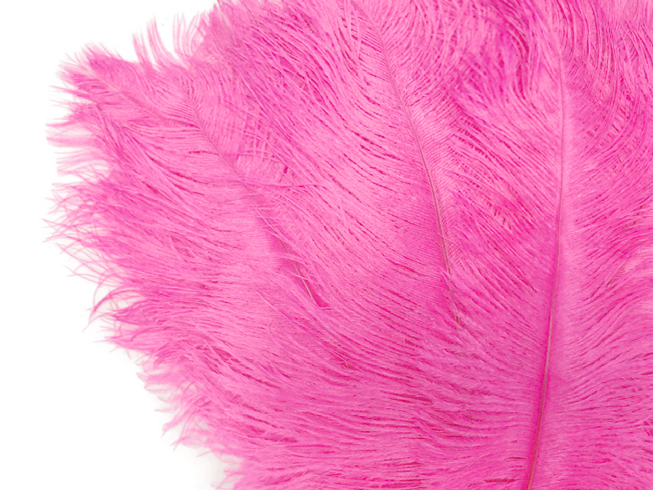 1/2 lb. - 14-17 Purple Ostrich Large Body Drab Wholesale Feathers (Bulk)