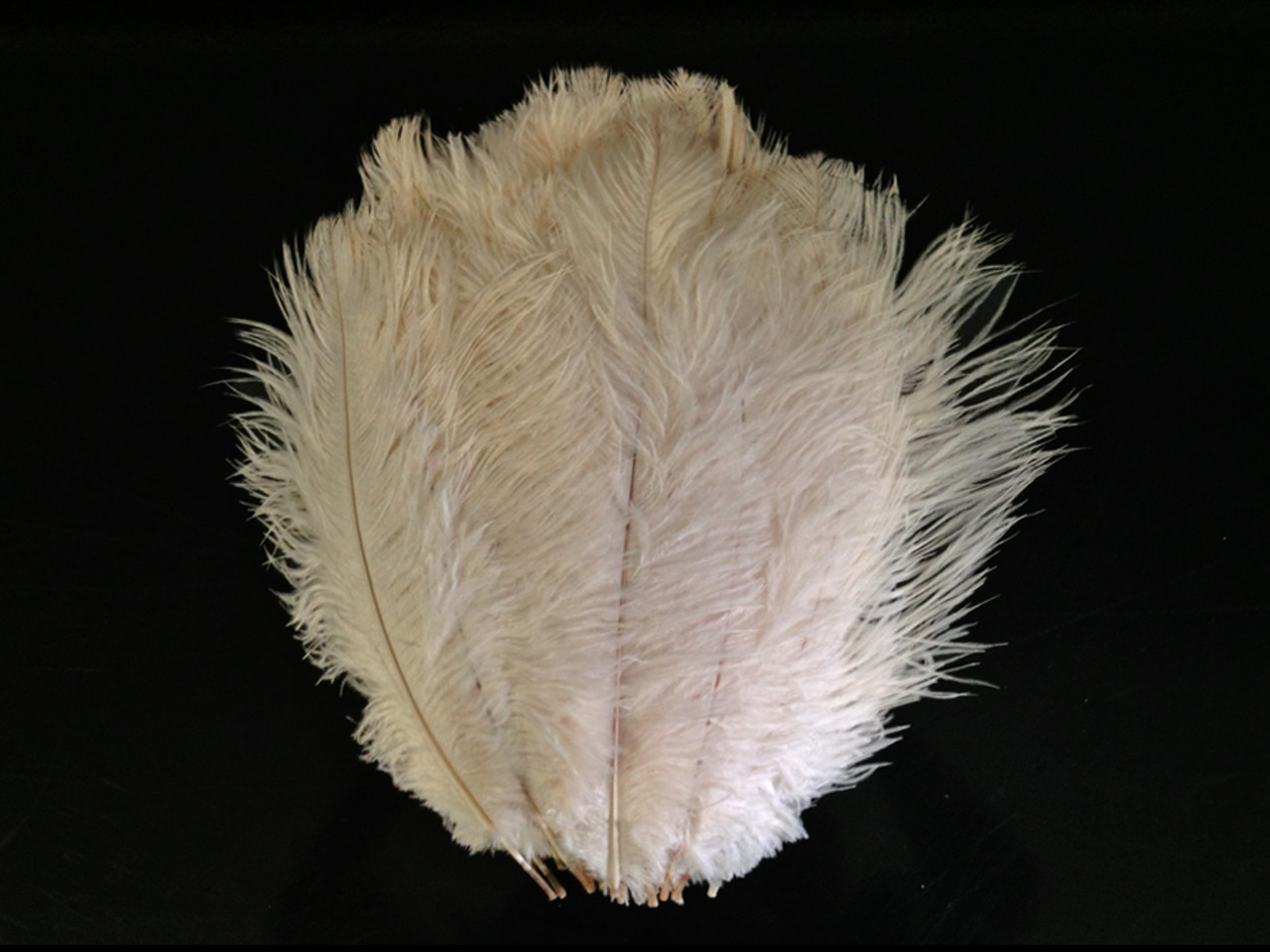 80 Set Natural White Ostrich Feathers Bulk with Iron Wire for