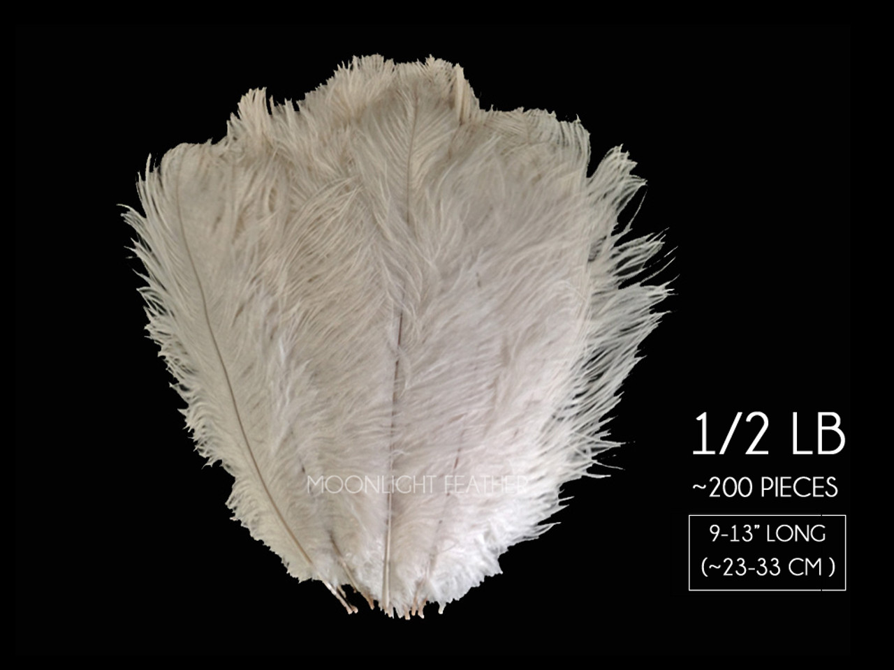 Ostrich Drab Feathers (Long)