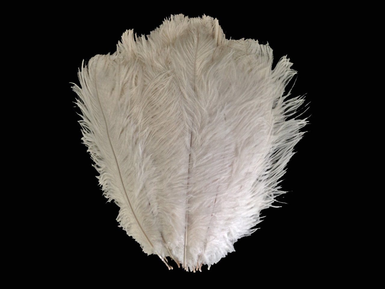1/2 lb 11-13 Off White Ostrich Feathers
