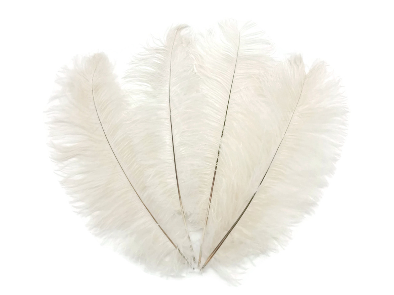 Bulk Ostrich Feathers  White Ostrich Feathers - Events Wholesale