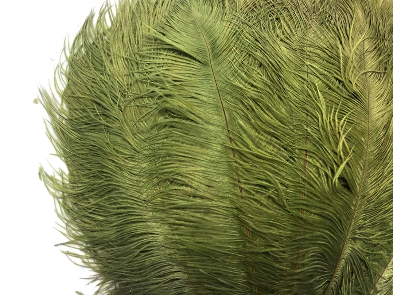 1/2 lb. - 14-17 Olive Green Ostrich Large Body Drab Wholesale Feathers  (Bulk)
