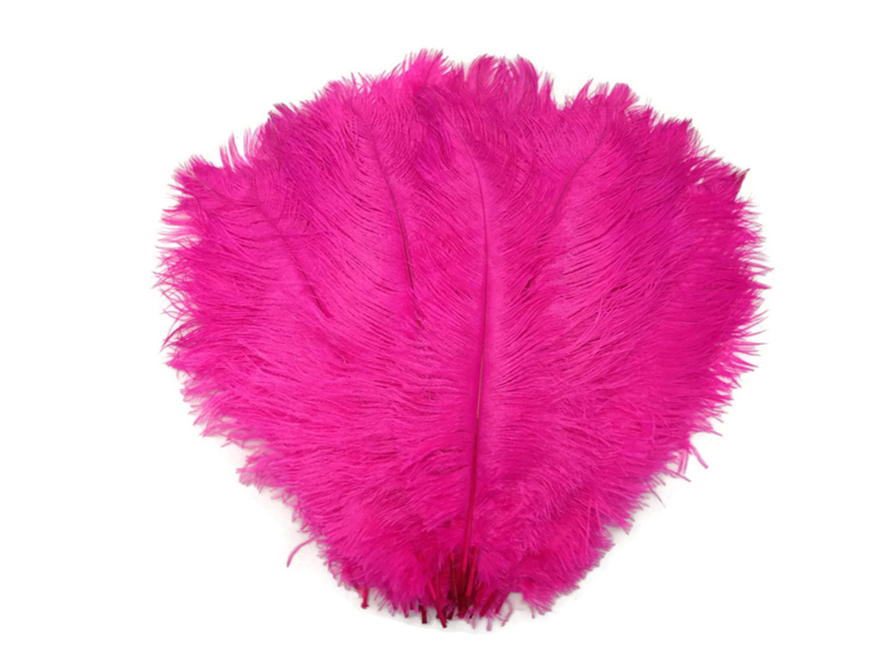 BULK 1/2lb Ostrich Feather Tail Plumes 15-20 (Fuchsia) for Sale