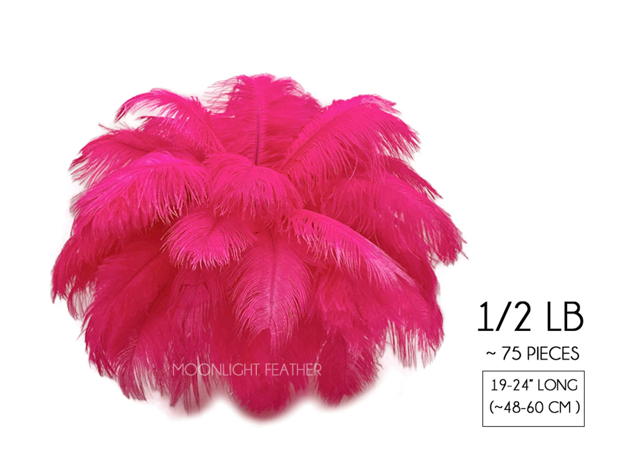 1/2 lb 19-24 Hot Pink Ostrich Feathers