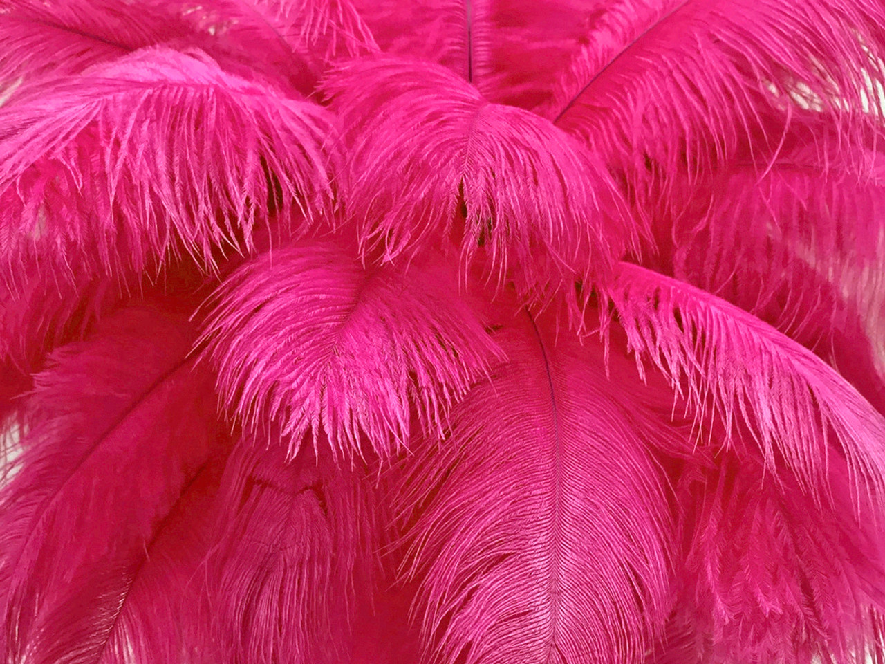 BULK 1/2lb Ostrich Feather Tail Plumes 15-20 (Baby Pink) for Sale