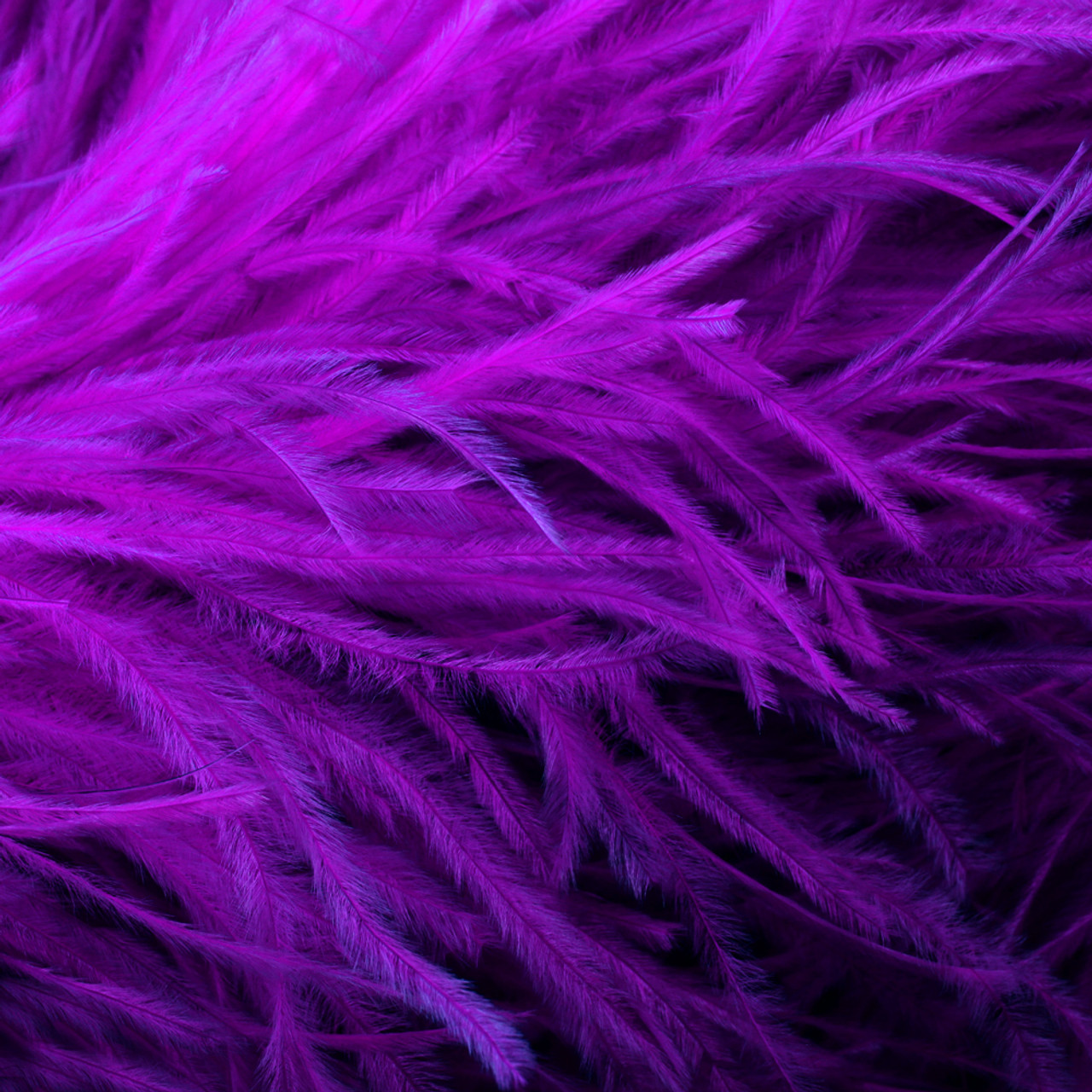Purple Ostrich Feathers Wholesale BULK CHEAP DISCOUNT DOZEN 12