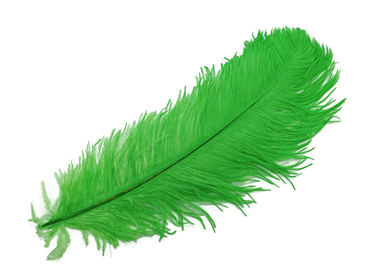 Wholesale Ostrich Feathers, drabs 12-17 inches, per 10 Feathers (CHOOS –  Schuman Feathers