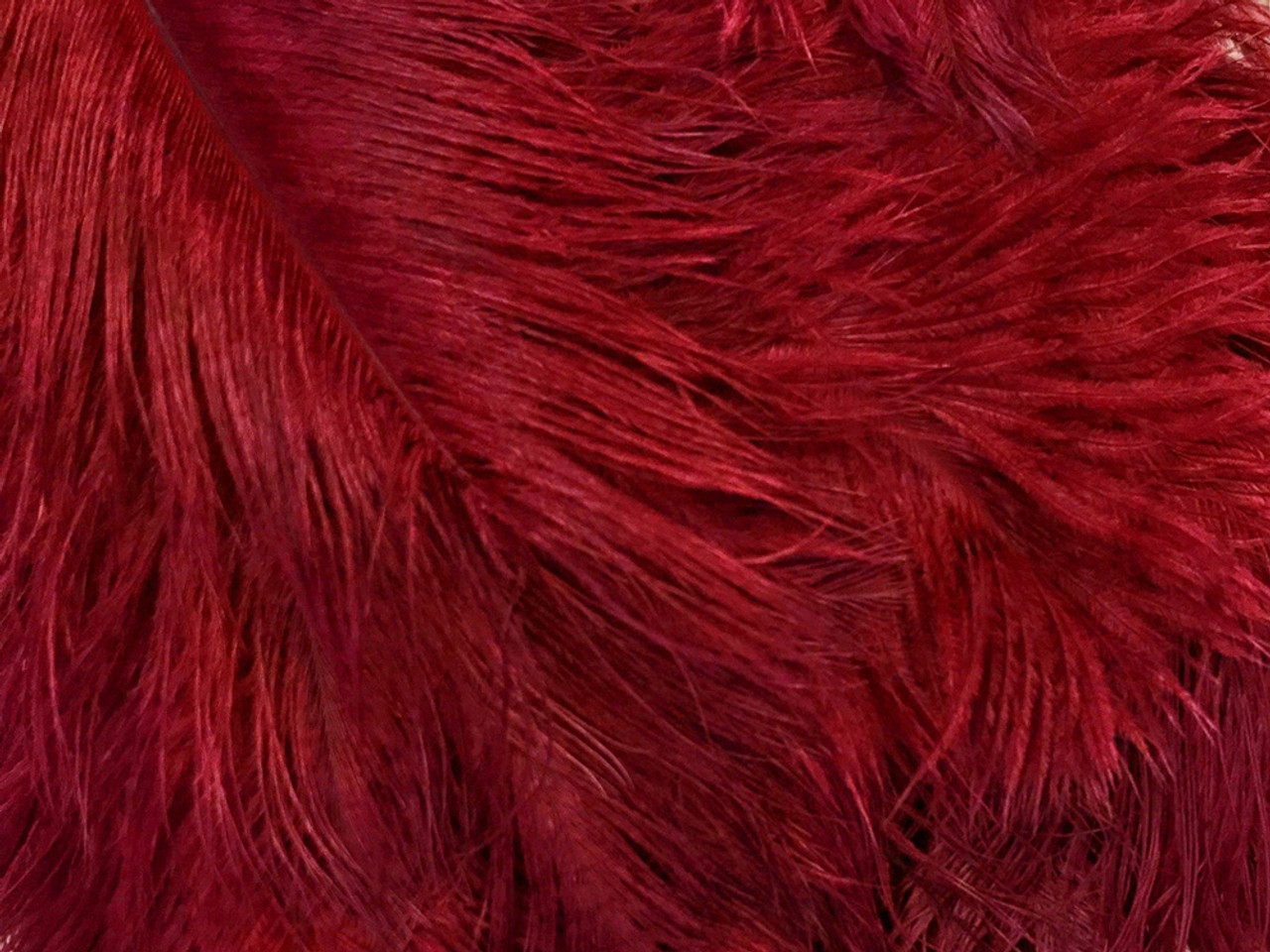 1/2 lb 14-17 Red Ostrich Feathers