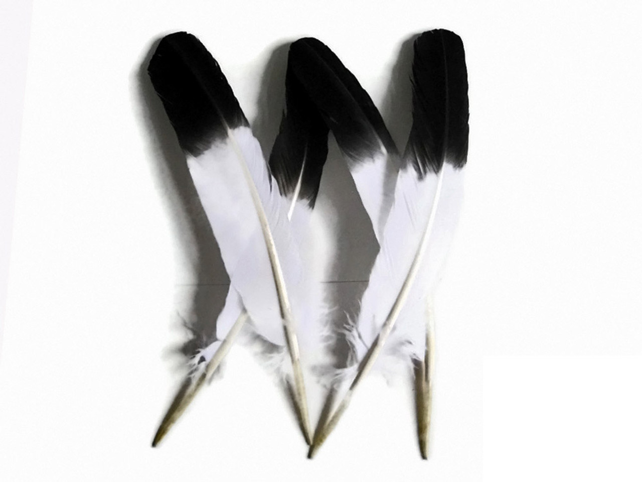 30 Pack, Metallic Gold Dipped Black Real Goose Feathers