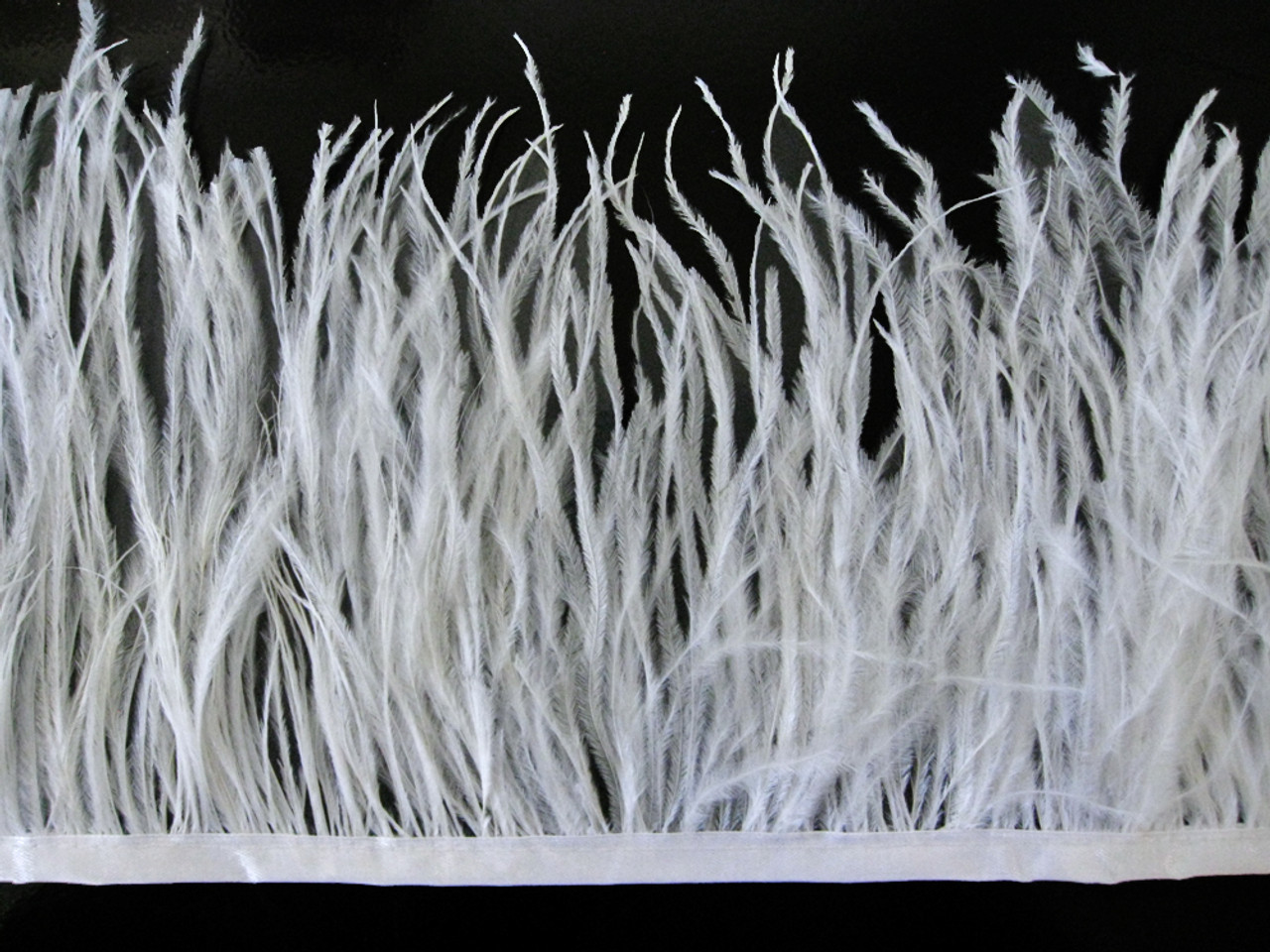 Ostrich Feather Trim – World Trimmings
