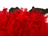 2 Yards - Red Heavy Weight Chandelle Feather Boa | 80 Gram