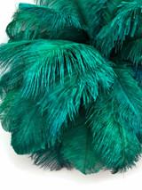10 Pieces - 14-17" Teal Green Ostrich Dyed Drab Body Feathers