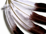 1/4 lbs. - Brown Tipped Tom Turkey Rounds Imitation "Eagle" Wholesale Feathers (Bulk)
