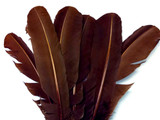 1/4 Lb - Brown Turkey Tom Rounds Secondary Wing Quill Wholesale Feathers (Bulk)
