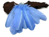 1/4 Lb - Copenhagen Blue Turkey Tom Rounds Secondary Wing Quill Wholesale Feathers (Bulk)