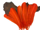 1/4 Lb - Orange Turkey Tom Rounds Secondary Wing Quill Wholesale Feathers (Bulk)