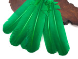 1/4 Lb - Kelly Green Turkey Tom Rounds Secondary Wing Quill Wholesale Feathers (Bulk)