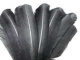 1/4 Lb - Silver Gray Turkey Tom Rounds Secondary Wing Quill Wholesale Feathers (Bulk)