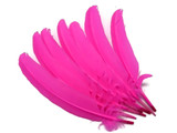 1/4 Lb - Hot Pink Turkey Tom Rounds Secondary Wing Quill Wholesale Feathers (Bulk)