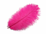 10 Pieces - 19-24" Hot Pink Ostrich Dyed Drabs Body Feathers