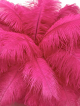 10 Pieces - 19-24" Hot Pink Ostrich Dyed Drabs Body Feathers