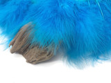 1 Yard - Turquoise Blue Marabou Turkey Fluff Feather Fringe Trim