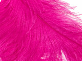 1/2 Lb. - 18-24" Hot Pink Large Ostrich Wing Plume Wholesale Feathers (Bulk)
