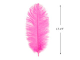 1/2 Lb - 17-19" Candy Pink Ostrich Large Drab Wholesale Feathers (Bulk)