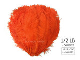 1/2 Lb. - 18-24" Orange Large Ostrich Wing Plume Wholesale Feathers (Bulk)