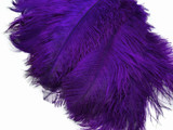 10 Pieces - 19-24" Purple Ostrich Dyed Drabs Body Feathers
