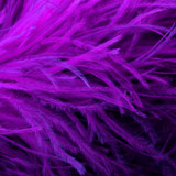 1/2 Lb - 17-19" Purple Ostrich Large Drab Wholesale Feathers (Bulk)