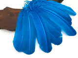 6 Pieces - Turquoise Turkey Rounds Secondary Wing Quill Feathers