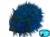 1 Piece - Iridescent Blue Peacock Plumage Feather Pad