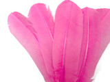 6 Pieces - Pink Turkey Rounds Secondary Wing Quill Feathers