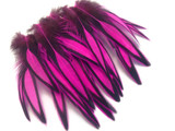 1 Dozen - Hot Pink Whiting Farms BLW Laced Hen Cape Loose Feathers