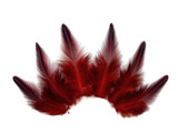 10 Pieces - Red Jungle Cock Loose Plumage Feather
