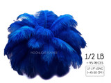 1/2 Lb - 17-19" Royal Blue Ostrich Large Drab Wholesale Feathers (Bulk)