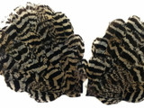 1 Piece - Natural Peacock Chinchilla Plumage Handmade Feather Pad